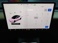 Tesla Model 3 Standard Range RWD Upgrade 3D6 - ფოტო 17