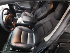 Tesla Model 3 Standard Range RWD Upgrade 3D6 - ფოტო 19