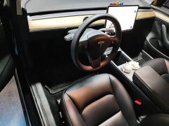 Tesla Model 3 Standard Range RWD Upgrade 3D6 - ფოტო 20
