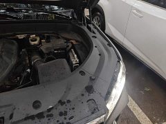 Geely Xingyue L 2.0TD DCT EVO FWD Luxury - ფოტო 19