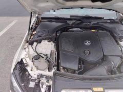Mercedes-Benz C-Class Facelift C 260 L Sport Edition - photo 18