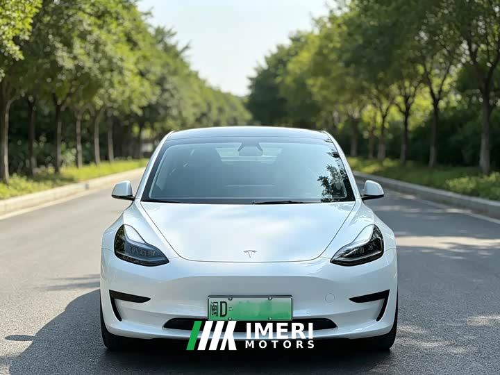 Tesla Model 3 Rear-Wheel Drive