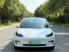 Tesla Model 3 Rear-Wheel Drive - ფოტო 1