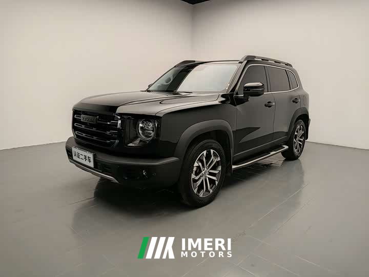 Great Wall Dachshund 1.5T DCT Two-Wheel Drive Border Collie Edition - ავტომობილი ჩინეთიდან