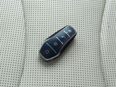 BYD Seal 07 DM-i 1.5L 125km Luxury - photo 8