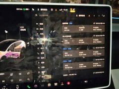 Tesla Model 3 Rear-Wheel Drive - ფოტო 14
