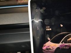 Tesla Model 3 Rear-Wheel Drive - ფოტო 15