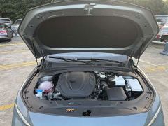 Geely Xingrui Oriental Radiance 2.0T Diesel Moonlight Edition - ფოტო 19