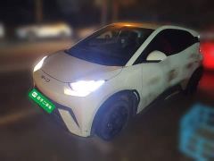 BYD Seagull Glory Edition 305km Vitality Version - ფოტო 1