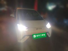 BYD Seagull Glory Edition 305km Vitality Version - ფოტო 2