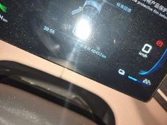 BYD Seagull Glory Edition 305km Vitality Version - ფოტო 8