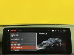 BMW 5 Series Facelift 530Li Luxury M Sport Package - ფოტო 19