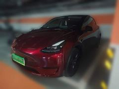 Tesla Model Y Rear-Wheel Drive - ფოტო 1