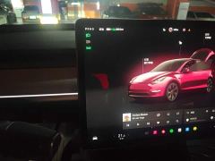 Tesla Model Y Rear-Wheel Drive - ფოტო 12