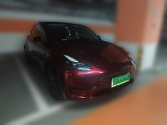 Tesla Model Y Rear-Wheel Drive - ფოტო 3