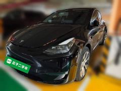 Tesla Model Y Long Range All-Wheel Drive 3D7 - фото 1