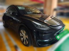 Tesla Model Y Long Range All-Wheel Drive 3D7 - фото 3