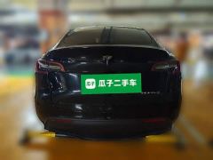 Tesla Model Y Long Range All-Wheel Drive 3D7 - фото 5