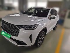 Haval H6 Third Generation 1.5T Automatic Two-Wheel Drive Pro - фото 1