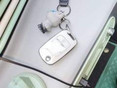 Wuling Hongguang MINIEV Macaron Fashion Edition LFP Battery - photo 8