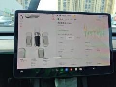Tesla Model 3 Performance All-Wheel Drive - ფოტო 11
