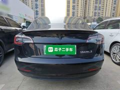 Tesla Model 3 Performance All-Wheel Drive - ფოტო 5