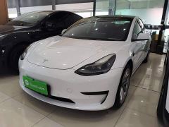 Tesla Model 3 Standard Range RWD Upgrade - ფოტო 1