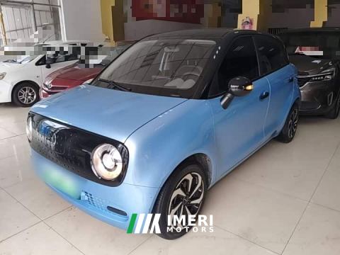 2021 ORA Black Cat 301km Base - автомобиль из Китая