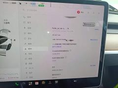 Tesla Model 3 Facelift Standard Range RWD Upgrade 3D1 - ფოტო 11