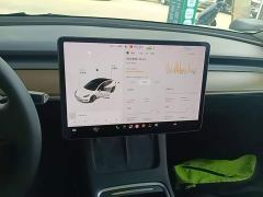 Tesla Model 3 Facelift Standard Range RWD Upgrade 3D1 - ფოტო 12