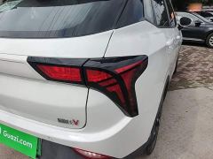 Neta V Long-Range Entertainment Edition Plus - ფოტო 7