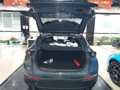 Mazda CX-30 2.0L Automatic Elegance - ფოტო 18