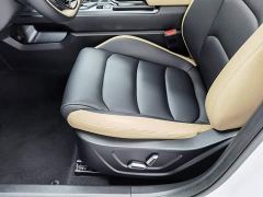 Geely ICON 1.5TD Chocolate Elegant Edition - photo 20