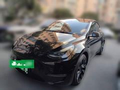 Tesla Model Y Standard Range RWD - ფოტო 1
