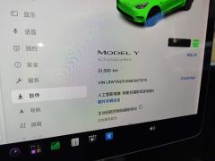 Tesla Model Y Standard Range RWD - ფოტო 8