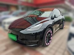 Tesla Model Y Long Range All-Wheel Drive 3D7 - ფოტო 1