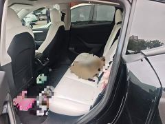 Tesla Model Y Long Range All-Wheel Drive 3D7 - ფოტო 13