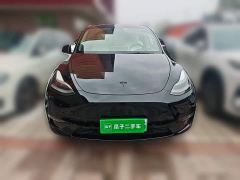 Tesla Model Y Long Range All-Wheel Drive 3D7 - ფოტო 2