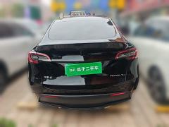 Tesla Model Y Long Range All-Wheel Drive 3D7 - ფოტო 3