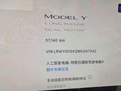 Tesla Model Y Long Range All-Wheel Drive 3D7 - ფოტო 8