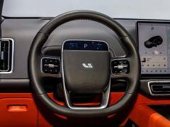 Li Auto L8 Max - photo 13