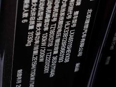 Li Auto L8 Max - photo 19