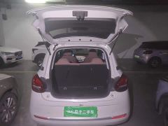 Wuling Binguo 203km Light Enjoy Edition - ფოტო 15
