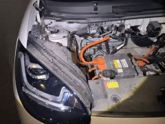 Wuling Binguo 203km Light Enjoy Edition - ფოტო 20