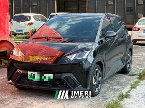 2024 BYD Seagull Glory Edition 405km Flying Edition - ავტომობილი ჩინეთიდან