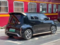 ORA White Cat Little Wildcat 360km Luxury Ternary Lithium - photo 3