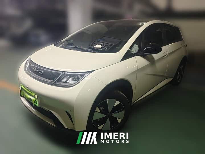 BYD Dolphin 420km Fashion Edition - ავტომობილი ჩინეთიდან
