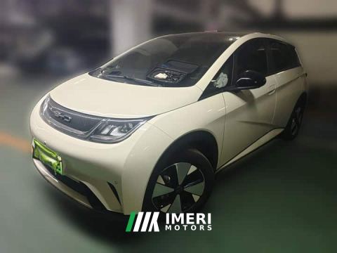 2023 BYD Dolphin 420km Fashion Edition - ავტომობილი ჩინეთიდან