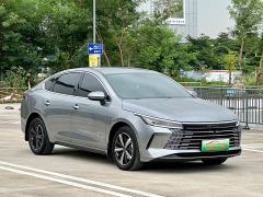 BYD Destroyer 05 Honor Edition DM-i 120KM Prestigious Edition - photo 3