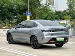 BYD Destroyer 05 Honor Edition DM-i 120KM Prestigious Edition - photo 6